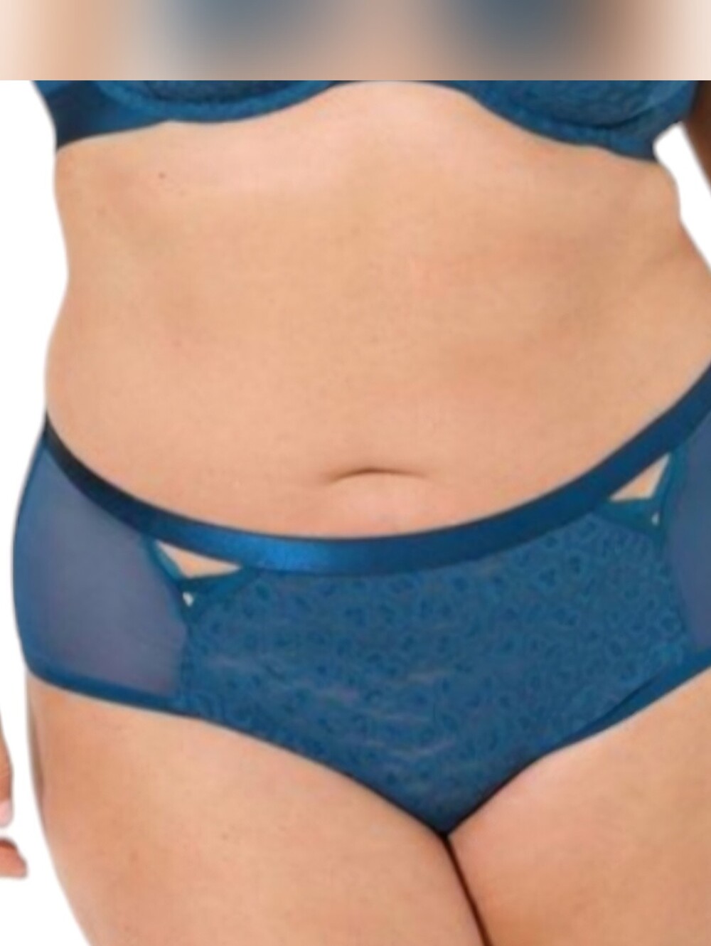 Torrid 0 Animal Lace Cheeky Panty Blue Poseidon Leopard Mesh
